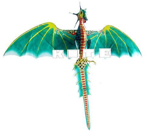 3D Flying Jurassic Dragon Dinosaur Kite/Xmas Gift Idea  