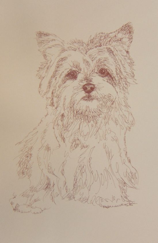  #141 Kline de arte perro de Yorkshire Terrier firmó el DIBUJO de 
